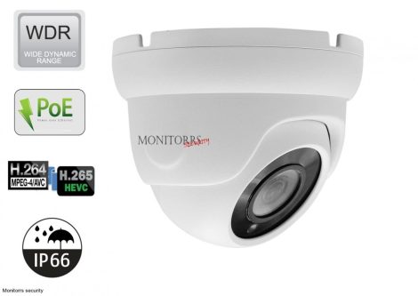 Monitorrs Security - IP dóm kamera 2 Mpix - 6001